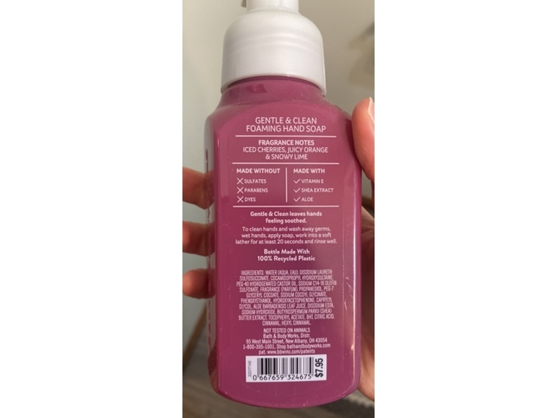 Bath & Body Works Gentle & Clean Foaming Hand Soap, Winterberry Ice, 8.75 fl oz/259 mL