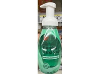 Walgreens Foaming Hand Soap, Aloe & Green Tea, 10 fl oz/296 mL - Image 3