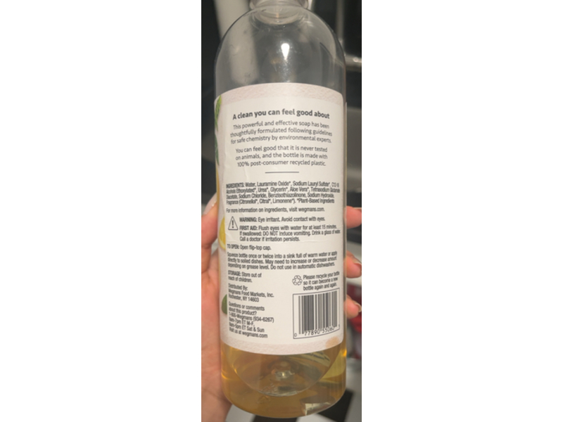 Wegmans Dish Detergent, Lemon Basil, 25 fl oz/739 mL