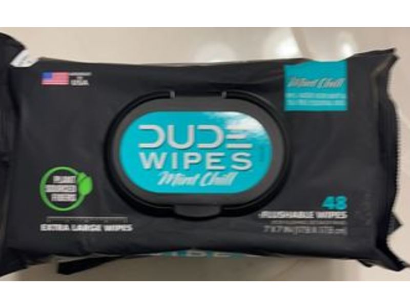 Dude Wipes Flushable Wipes, Mint Chill, 48 Count