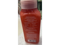 Bath & Body Works The Most Reindeer Fultime Gentle + Clean Foaming Hand Soap, Toasted Vanilla Chai, 8.75 fl oz/259 mL, 2 Pack - Image 4
