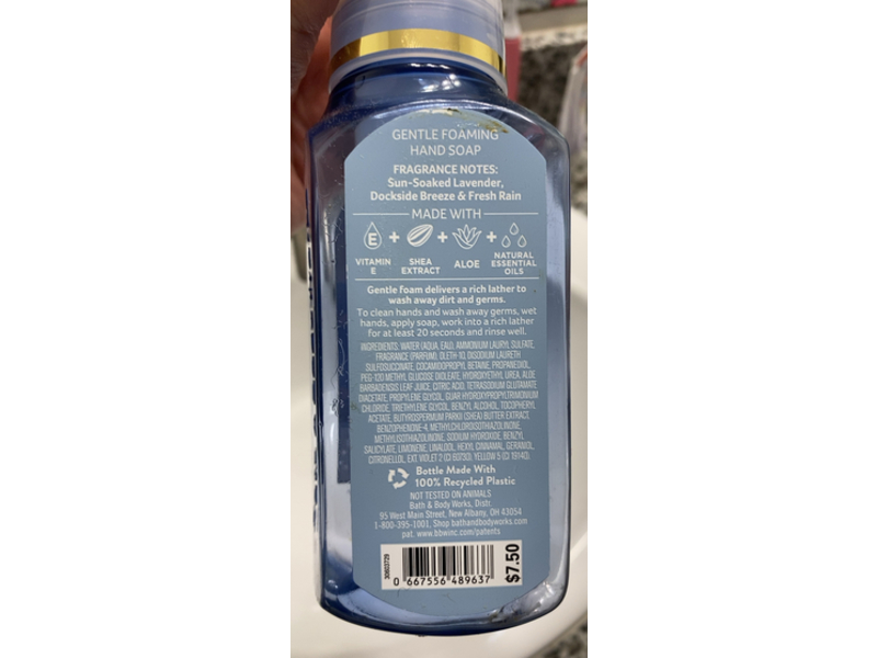 Bath & Body Works Gentle Foaming Hand Soap, Barn Lakeside Afternoon, 8.75 fl oz/259 mL