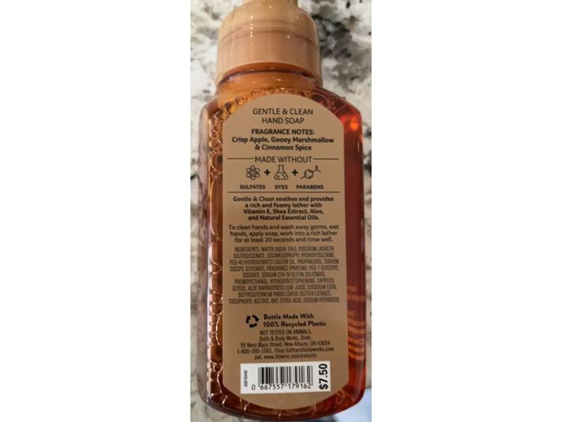 Bath & Body Works Gentle Foaming Hand Soap, Autumn S'mores, 8.75 fl oz/ 259 mL