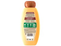 Garnier Whole Blends Honey Treasures Repairing Shampoo, 12.5 fl oz/370 mL - thumbnail 2
