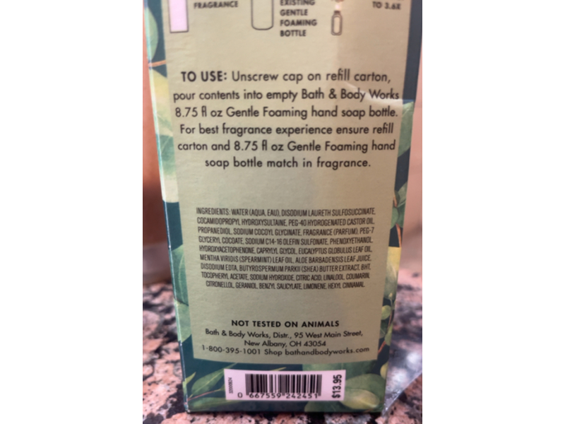 Bath & Body Works Gentle & Clean Foaming Hand Soap Refill, Eucalyptus Mint, 32 fl oz/946 mL