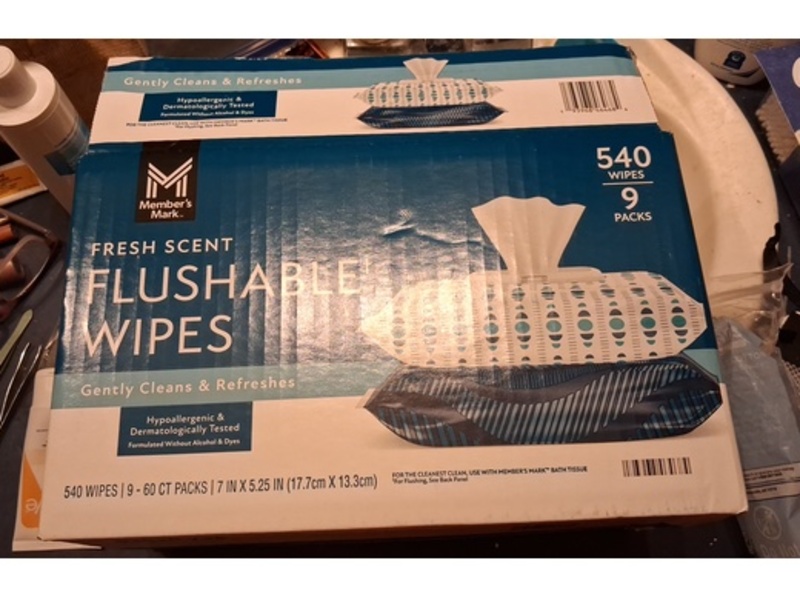 Member's Mark Flushable Wipes, Fresh Scent, 540 Count, Pack Of 9
