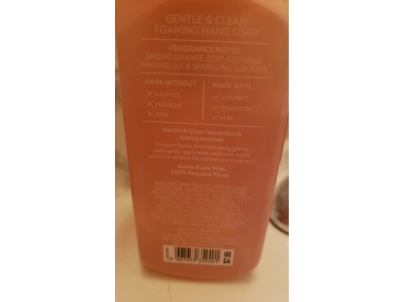 Bath & Body Works Foaming Hand Soap, Chasing Day Dreams, 8.75 fl o/259 mL