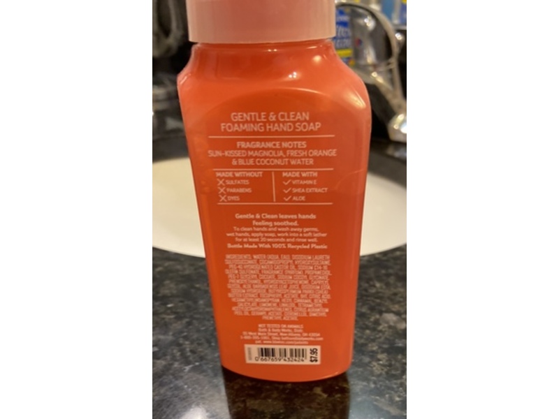 Bath & Body Works Gentle & Clean Foaming Hand Soap, 259 mL
