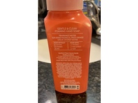 Bath & Body Works Gentle & Clean Foaming Hand Soap, 259 mL - thumbnail 2