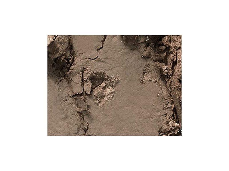 M.A.C, Eye Shadow, Coquette, 0.05 oz/1.5 g