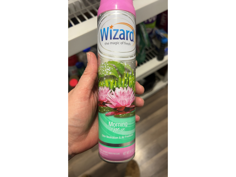 Wizard The Magic of Fresh Air Freshener, Morning Mist, 10 oz
