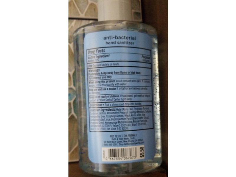 Bath & Body Works Anti-Bacterial Hand Gel, Crisp Morning Air, 7.6 fl oz/225 ml
