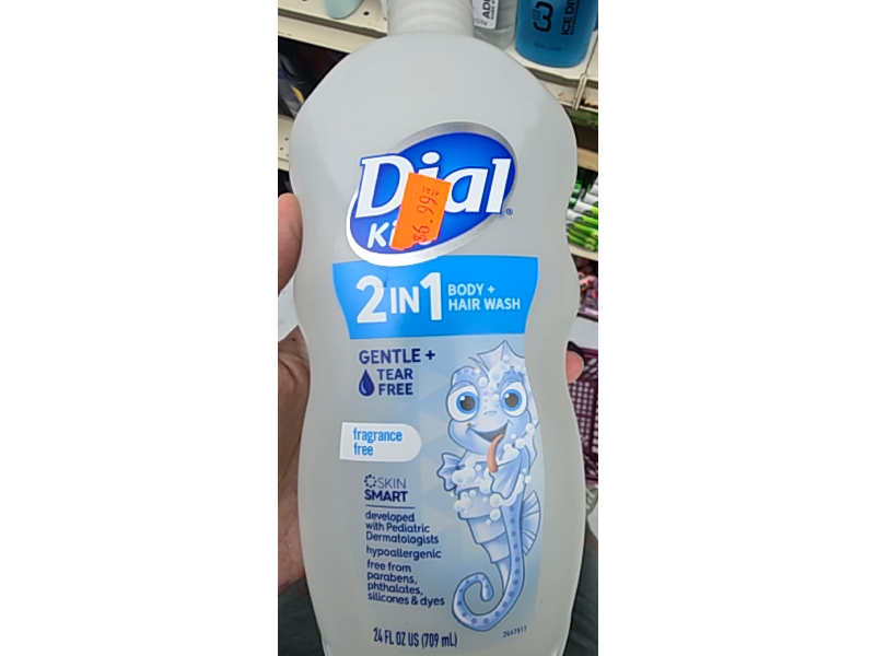 Dial 2 In 1 Body + Hair Wash, 24 fl oz/709 mL