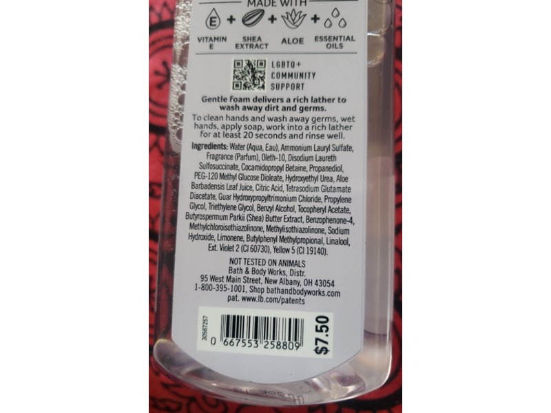 Bath & Body Works Gentle Foaming Hand Soap, 8.75 fl oz/259 mL