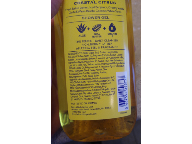 Bath & Body Works Capri Shower Gel, Coastal Citrus, 10 fl oz/295 mL