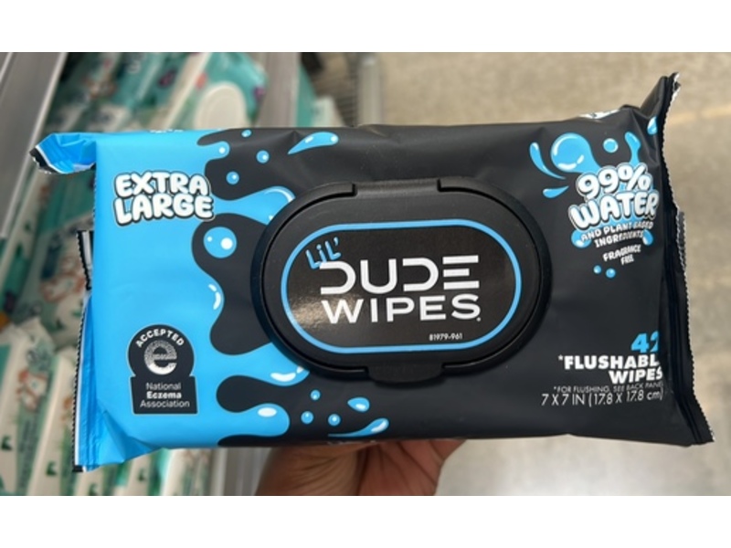 Dude Wipes Flushable Wipes, 42 Count