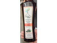Arbol Verde Shampoo, Hispanic Herbs, 16.9 fl oz/500 mL - Image 3