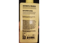Babe Original Densifying Conditioner, 13.5 fl oz/400 mL - thumbnail 3