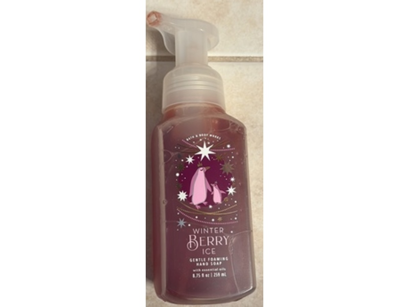 Bath & Body Works Gentle Foaming Hand Soap, Winter Berry Ice, 8.75 fl oz/259 mL