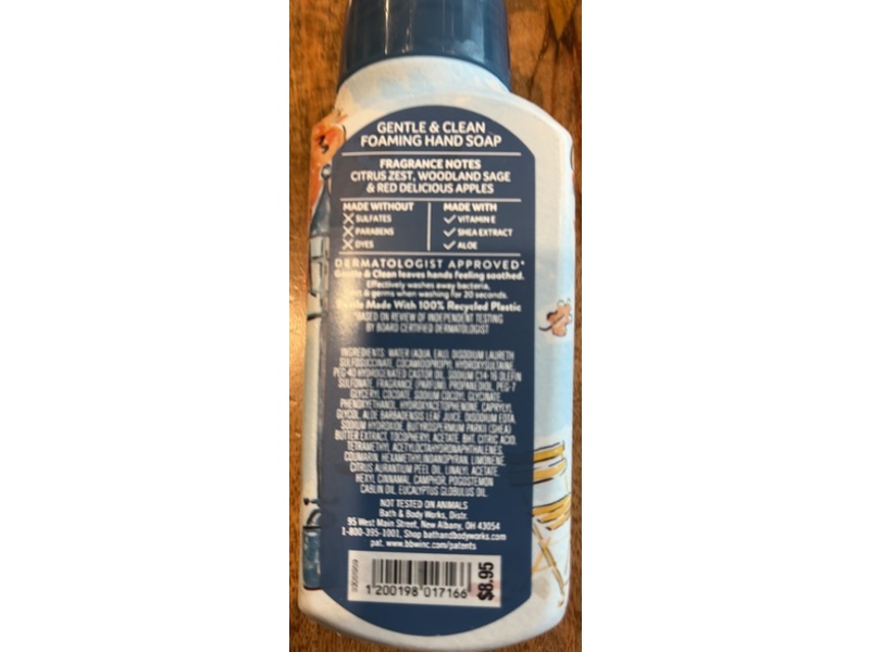 Bath & Body Works Gentle & Clean Foaming Hand Soap, Fresh Fall Morning, 8.75 fl oz/259 mL