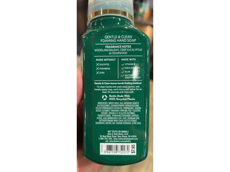 Bath & Body Works Gentle Foaming Hand Soap, Fresh Balsam, 8.75 fl oz/259 mL