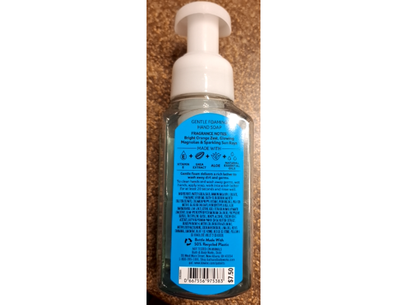 Bath & Body Works Gentle Foaming Hand Soap, Chasing Daydreams, 8.75 fl oz/259 mL
