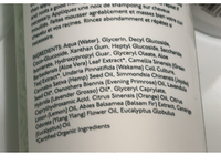 Lovesong Cleanse + Balance Evergreen Shampoo, 8 fl oz/237 mL - Image 4