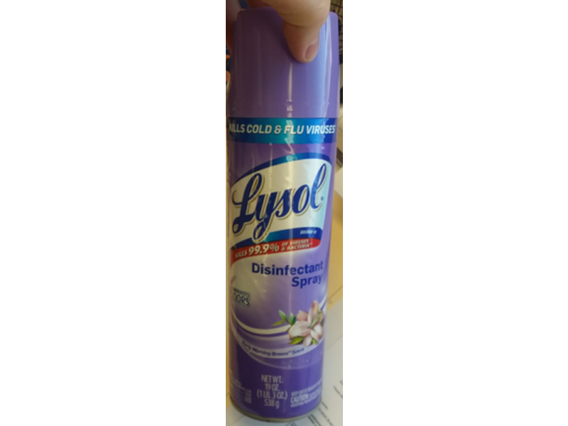 Lysol Disinfectant Spray, Early Morning Breeze Scent, 19 oz/538 g