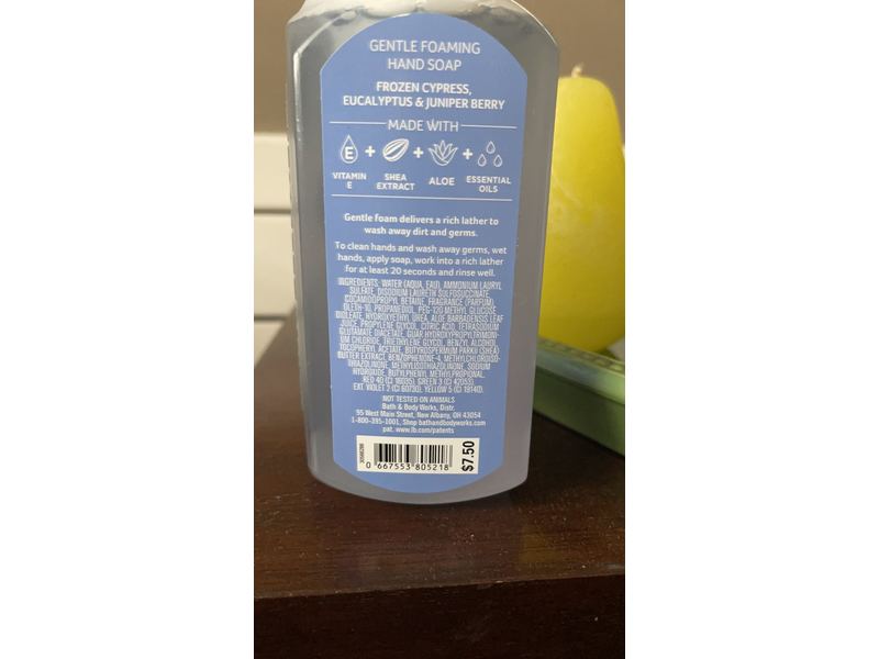 Bath & Body Works Gentle Foaming Hand Soap, Frozen Lake, 8.75 fl oz/259 mL