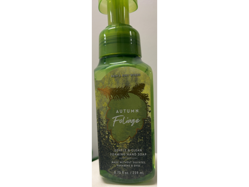 Bath & Body Works Foaming Hand Soap, Autumn Foliage, 8.75 fl oz/259 mL