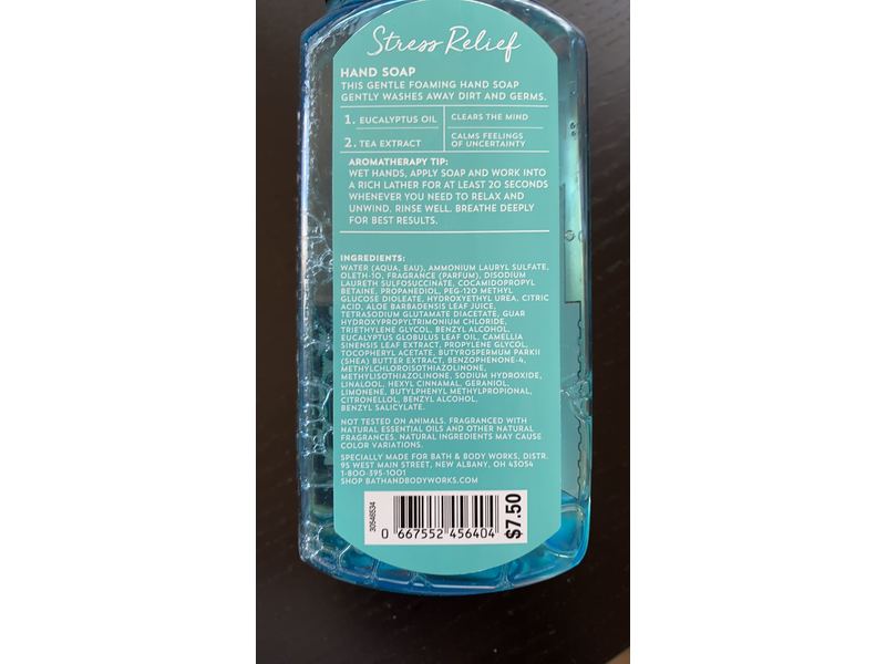 Bath And Body Works Gentle Foaming Hand Soap, Eucalyptus And Tea, 8.75 fl oz/259 mL