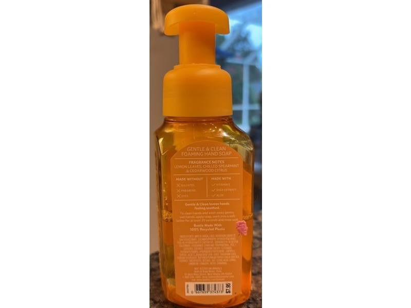 Bath & Body Works Gentle & Clean Foaming Hand Soap, Fresh Amalfi Lemon, 8.75 f oz/259 mL