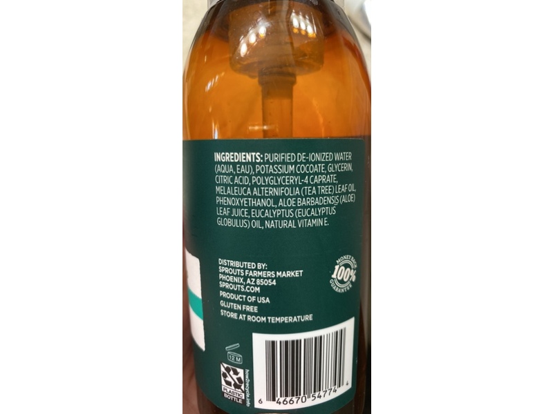 Real Root By Sprouts Foaming Castile Hand Soap, Eucalyptus & Tea Tree, 13 fl oz/385 g