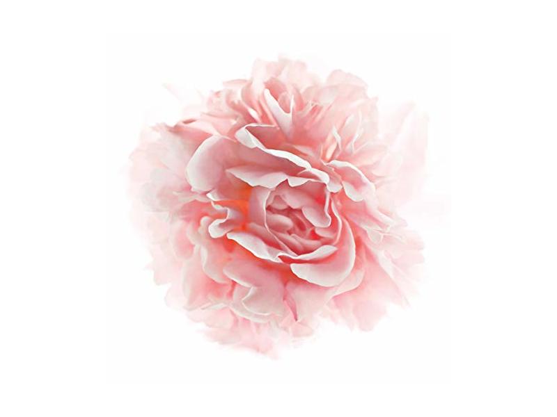 L'Oreal Paris Age Perfect Rosy Tone Moisturizer, 1.7 oz