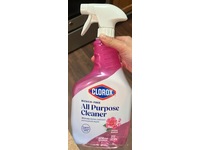Clorox All Purpose Cleaner, Spring Garden, 32 fl oz/946 mL - thumbnail 2