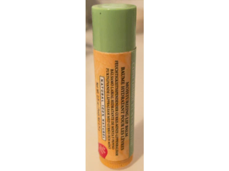Burt's Bees Moisturizing Lip Balm, Cucumber & Mint, 0.15 oz/4.25 g, Pack Of 4