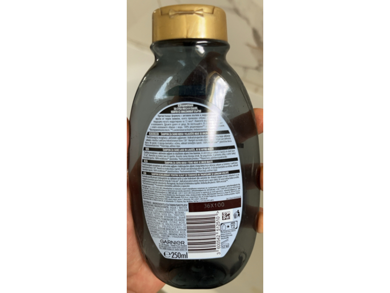 Garnier Botanic Therapy Balancing Shampoo, Magnetic Charcoal & Black Seed Oil, 250 mL