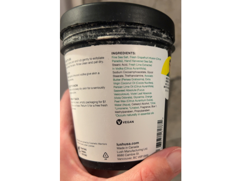 Lush Face & Body Scrub, Ocean Salt, 10.2 oz/290 g