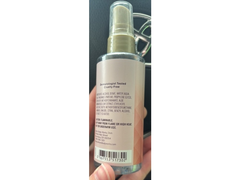 Bath & Body Works Fragrance Mist, Champagne Toast, 3 fl oz/88 mL