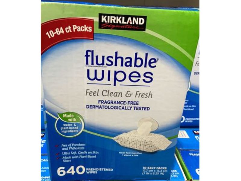 Kirkland Signature Flushable Wipes, Feel Clean & Fresh, 640 Count