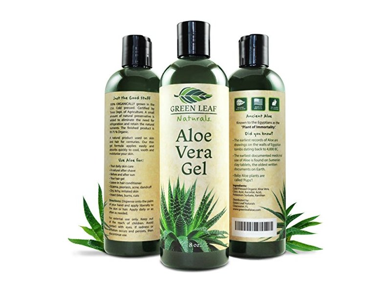 Aloe Vera: Your Hair's Favorite Plant (and the Plant of Immortality) –