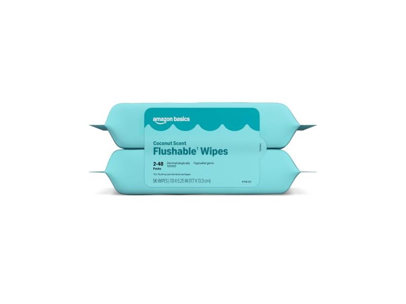 Amazon Basics Flushable Wipes, Coconut, 48 Count, Pack Of 2