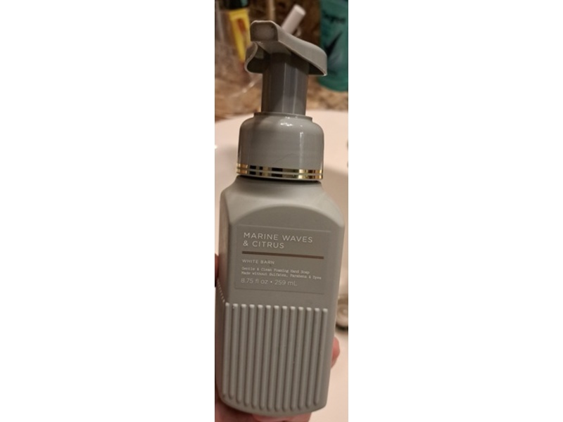 Bath & Body Works Gentle & Clean Foaming Hand Soap, Marine Waves & Citrus, 8.75 fl oz/259 mL