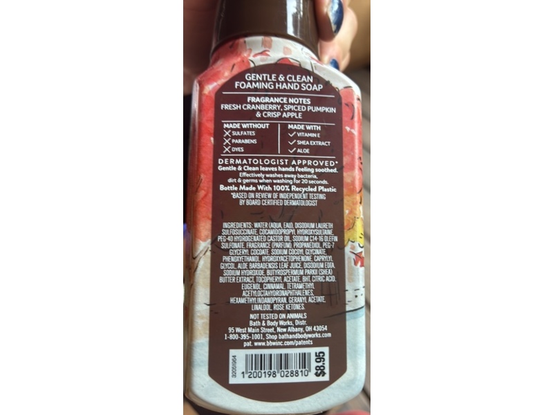 Bath & Body Works Gentle & Clean Foaming Hand Soap, The Perfect Autumn, 8.75 fl oz/259 mL