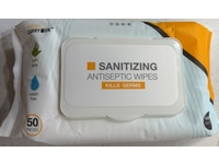 Naftali Miami Carry On Sanitizing Antiseptic Wipes, Aloe, 50 Count - thumbnail 1