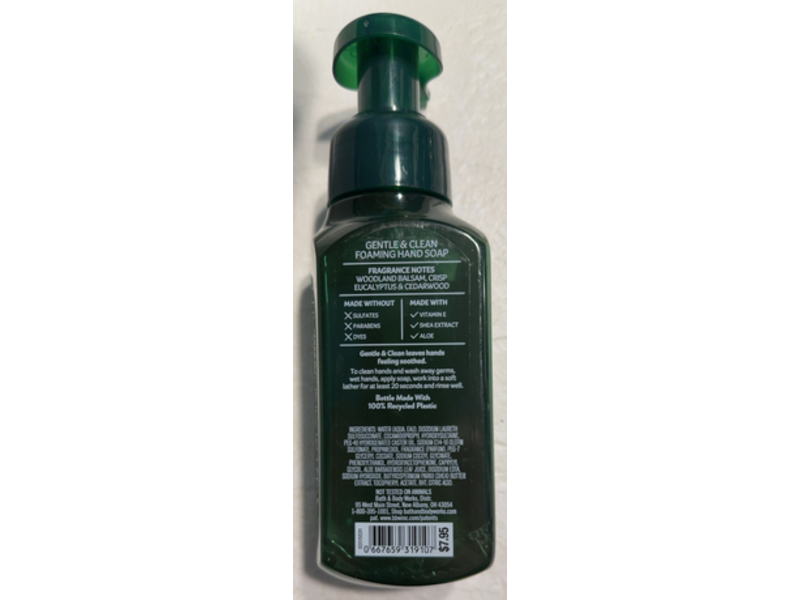Bath & Body Works Gentle & Clean Foaming Hand Soap, Fresh Balsam, 8.75 fl oz/259mL