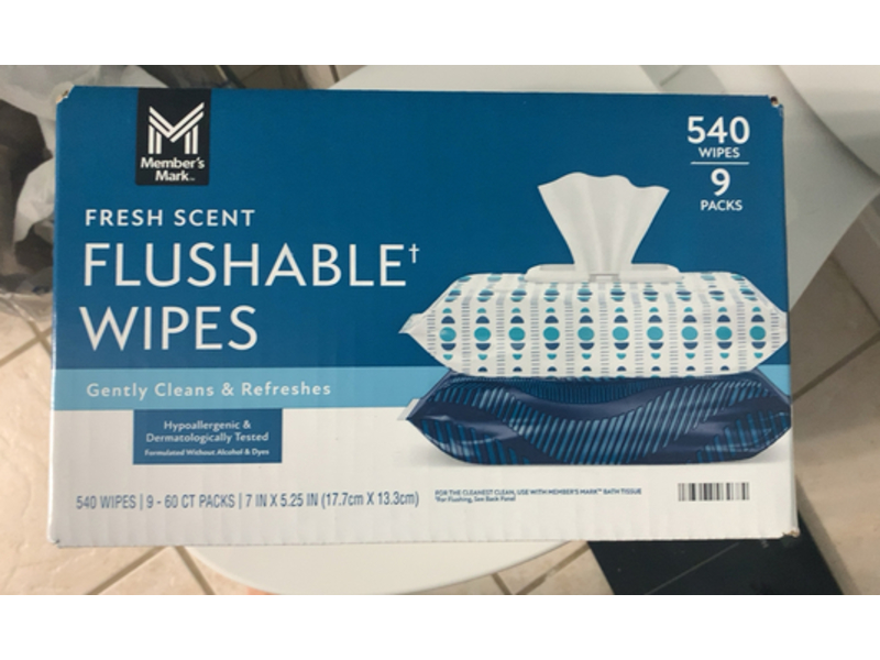 Member's Mark Flushable+ Wipes, Fresh Scent, 540 Count, Pack Of 9