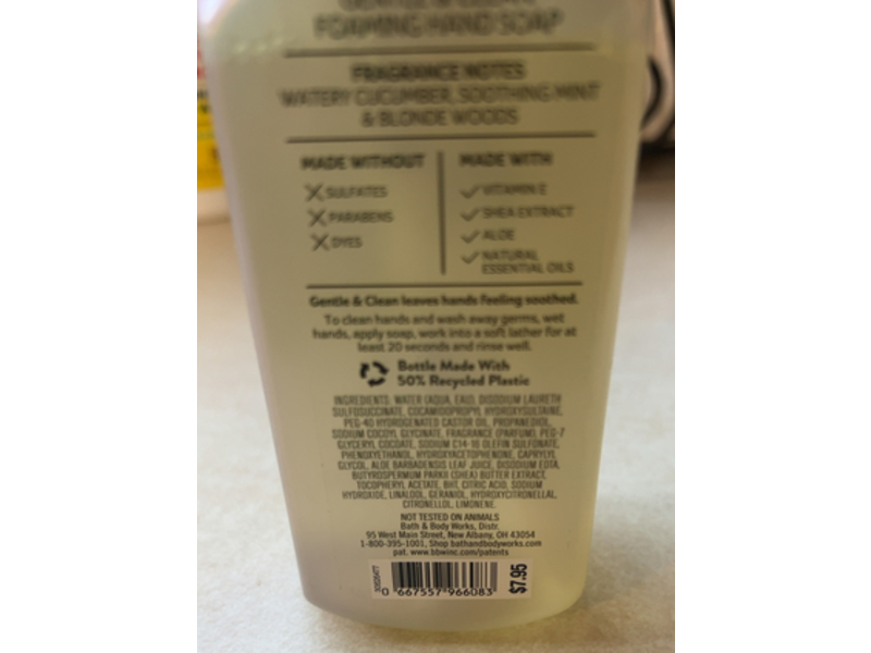 Bath & Body Works Gentle Foaming Hand Soap, White Cucumber Mint, 8.75 fl oz/259 mL