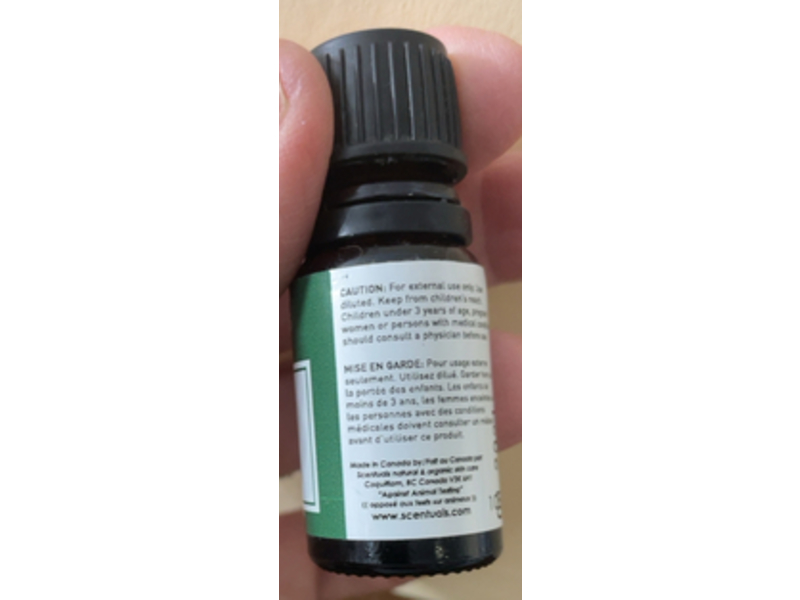 Scentuals Pure Essential Oil, Melaleuca Alternifolia Tea Tree, 0.34 fl oz/10 mL