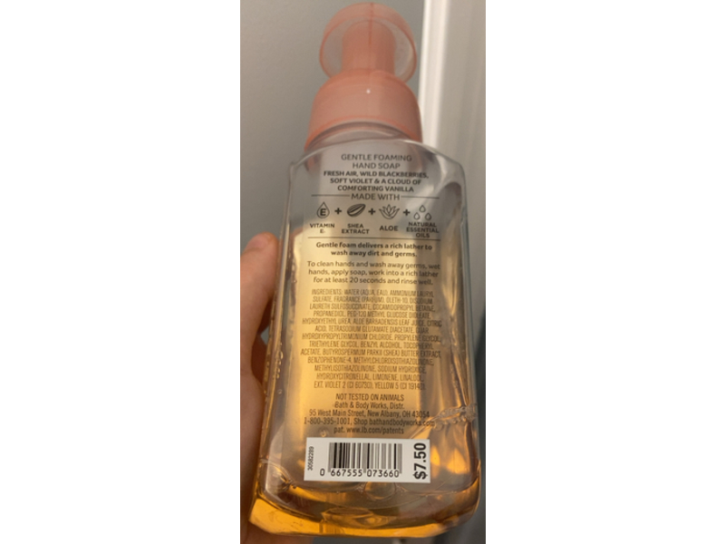 Bath & Body Works Open Sky Gentle Foaming Hand Soap, 8.75 fl oz/259 mL